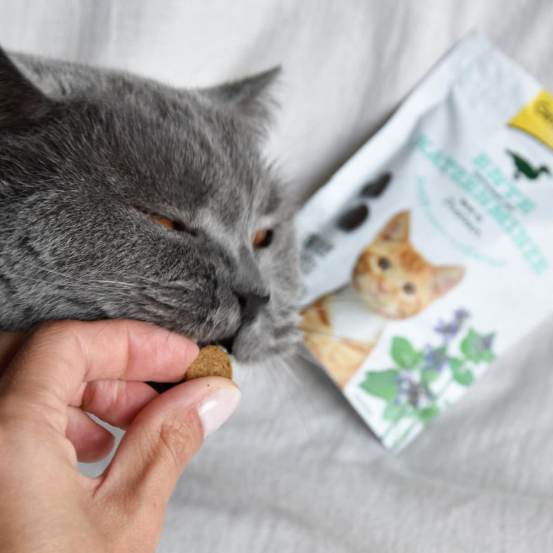 GimCat Crunchy Snacks Duck with Catnip - Crunchy and protein-rich cat treat without added sugar - 1 bag (1 x 50 g) 50 g (pack of 1) - PawsPlanet Australia