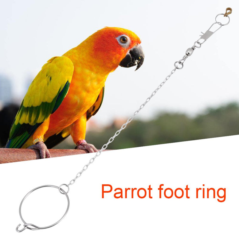 ViaGasaFamido Parrot Stand Chain, 3.5/4.5/5.5mm Stainless Steel Pet Parrot Birds Foot Stand Chain and Ring Toys for Budgerigar Cockatiel Fig Parrot(5.5mm) 5.5mm - PawsPlanet Australia