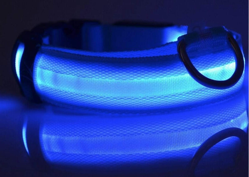 New G Line Flashing Glow In The Dark Dog Leash Waterproof Luminous Fluorescent Collars for Safety - PawsPlanet Australia