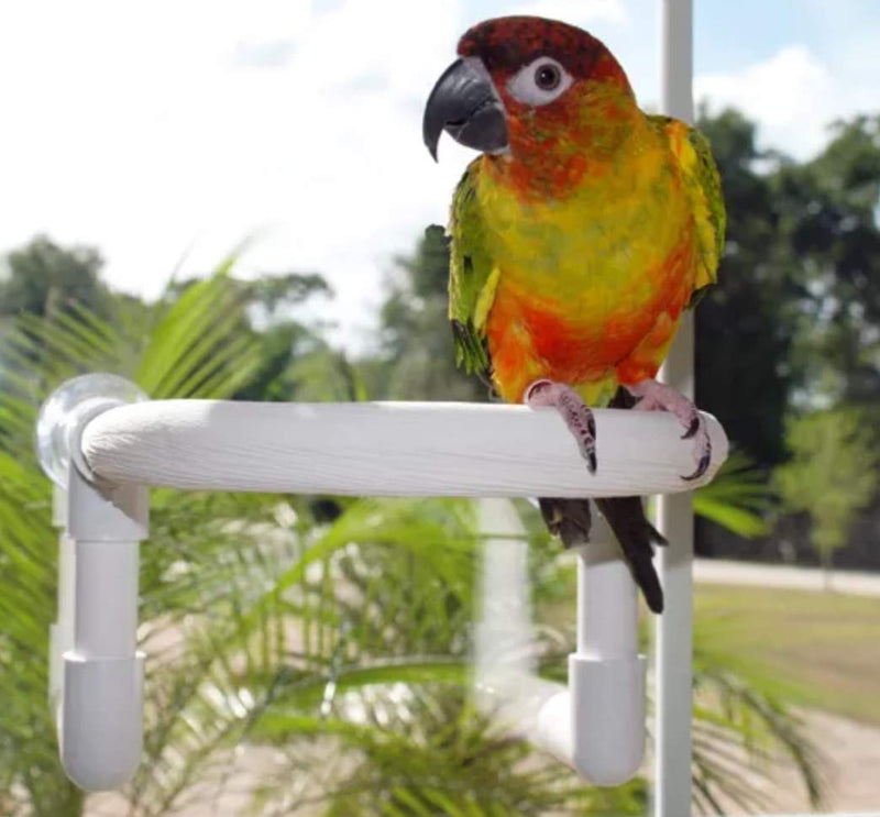 FeatherSmart Bird Parrot Shower Perch Small Round - PawsPlanet Australia