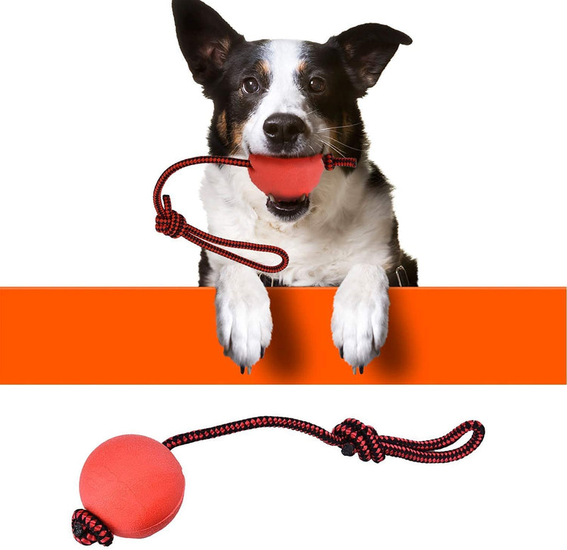 Kuiji Dog Rubber Solid Ball with Rope, Tug of War Balls Reward, Training Fetching Tugging Ball Toys for Small Dogs Teeth Cleaning Boredom Chew Toys (3 Same Sizes) - PawsPlanet Australia