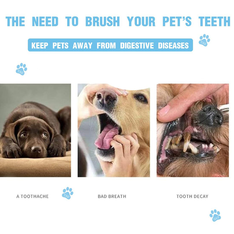 EODKSE Teeth cleaning for dogs - Dog toothbrush (4 pieces) - Especially for small dogs - Effective dental care against tartar and bad breath - Suitable for small, medium and large dogs, - PawsPlanet Australia