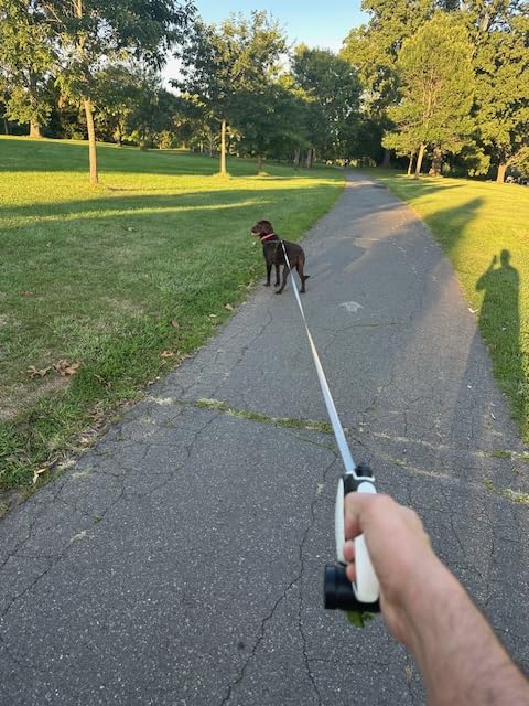 Retractable Dog Leash 26 ft Long with Poop Bag Dispenser & Light - PawsPlanet Australia