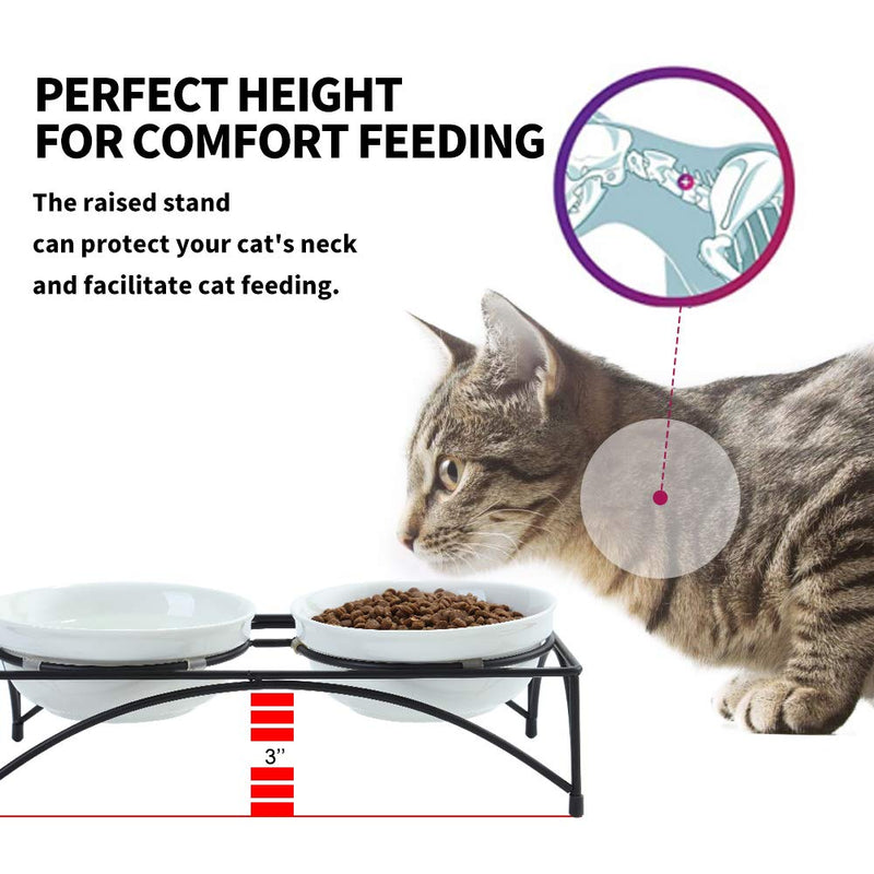 FOREYY Elevated Cat Bowls with 2 Ceramic Bowls and 2 Stainless Steel Bowls,Raised Cat Food Water Bowl with Iron Stand,Porcelain Pet Dishes for Cats and Small Dogs,16 Ounces,Dishwasher Safe - PawsPlanet Australia