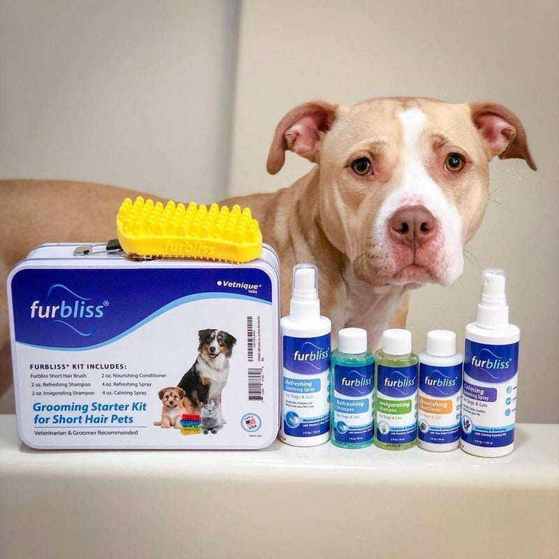 [Australia] - Furbliss Grooming Kit for Dogs, Cats and Pets, Includes Cat/Dog Shampoo, Cat/Dog Conditioner, Cologne Grooming Sprays and Brush (Short Hair) Short Hair 