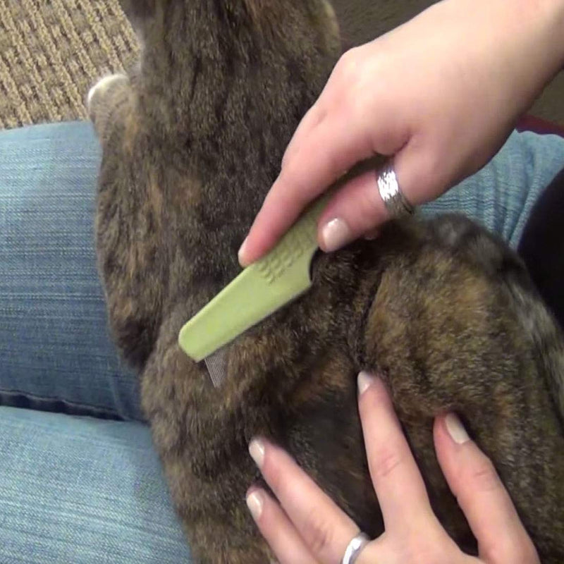 [Australia] - Safari Flea Comb for Cats, Green One Size 