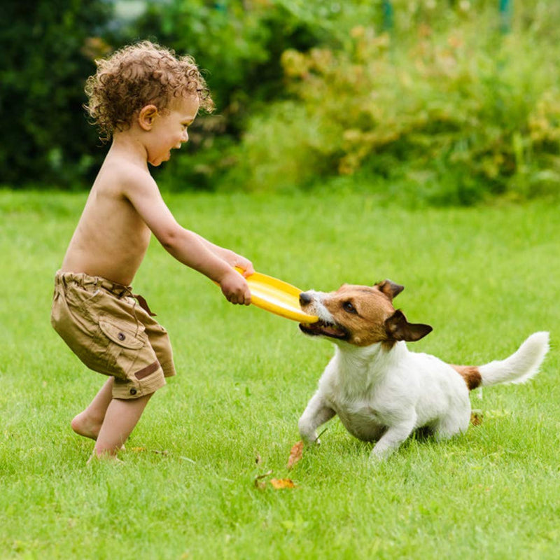 N/F Mokinga Rubber Frisbee, 2PCS Silicone Intellectual Training Toys for Small and Medium-sized Dogs, Pet Bite-resistant Frisbee for Land and Water (Diameter: 18cm) - PawsPlanet Australia