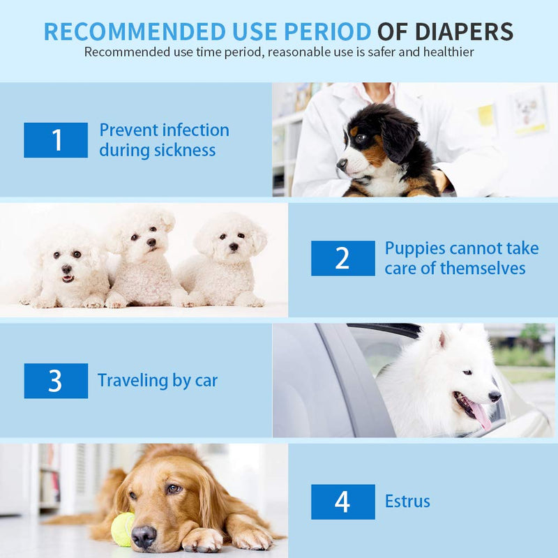 [Australia] - SHAREWINl Disposable Dog Diapers for Male Dog 12-36ct Absorbent Wraps with Leak Proof Fit in Heat,Incontinence for Small Dogs Puppy Doggie 12 Count-Medium 