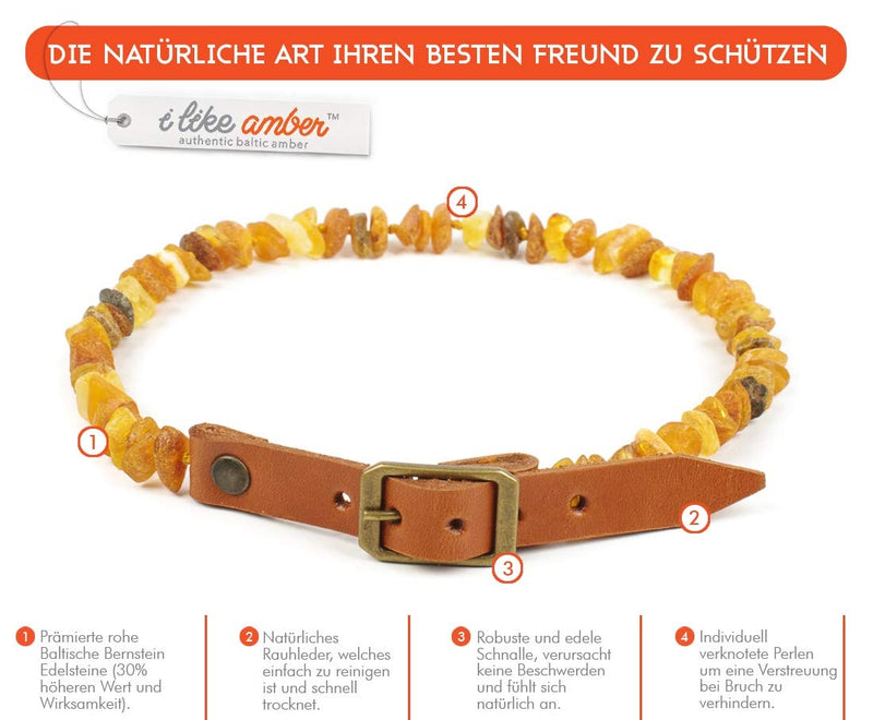 Amber Tick & Flea Collar for Dogs and Cats - size 20cm - 76cm on Amazon - made from 100% Genuine Raw Baltic Amber - Flea & Tick Protection - 100% Natural & Free of chemicals PNL_MLT.20-22 20-22cm - PawsPlanet Australia