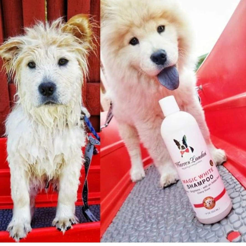 [Australia] - Warren London Magic White Brightening Dog Shampoo - Enhances Natural Color & Shine of All Coats - 17 oz & 1 Gallon 17 Ounce 