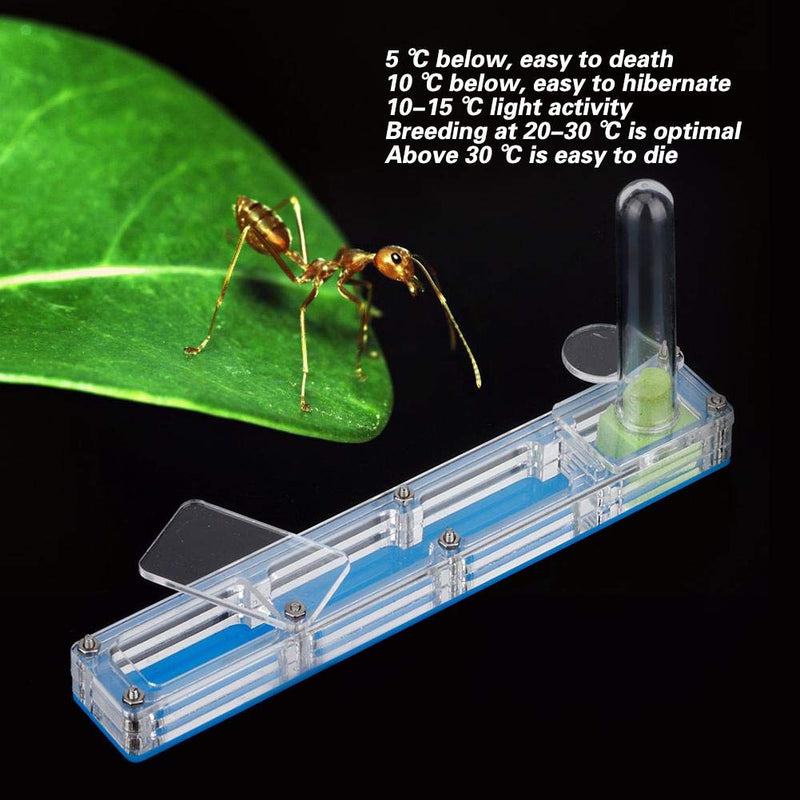 Pssopp Ant House Acrylic Ant Breeding House Nest Formicarium Display Box Transparent Ant Ant Feeding Living Nest Farm Insect Moisturizing Case with Water Tower Moisturizing(Blue) Blue - PawsPlanet Australia