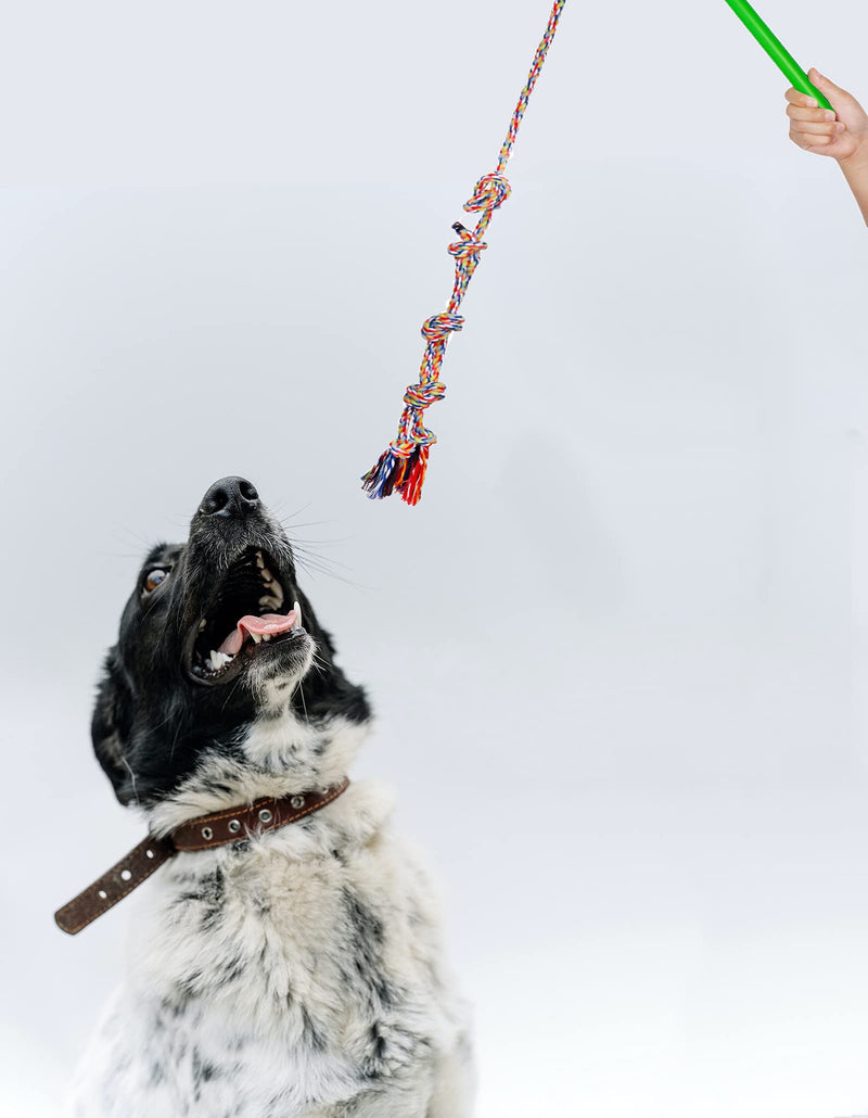 Flirt Pole Dogs,Interactive Dog Toys Dog Toy Stick,Dog Chew Toy Rope for Chewing &Training Small Medium Large Dogs Pulling, Chasing, Chewing, Training, Exercising,ROPE-67in - PawsPlanet Australia