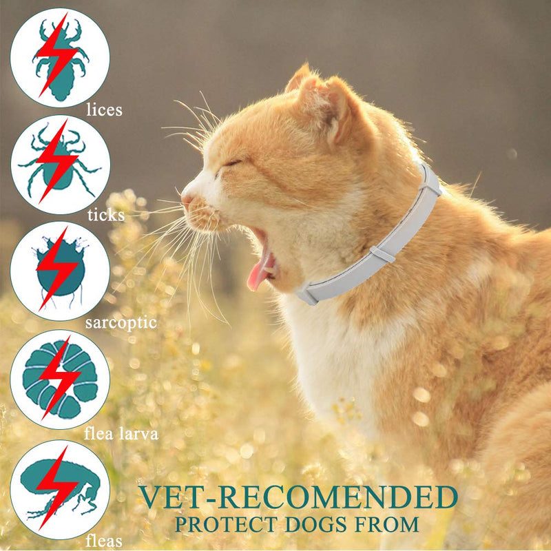 PROZADALAN Flea Collar for Cats, Tick Collar for Cats, Flea and Tick Collar for Cats, Waterproof Cat Flea Collar, Unique Plant Based Formula, Small to Extra Large, 8 months Protection, Universal Gray - PawsPlanet Australia