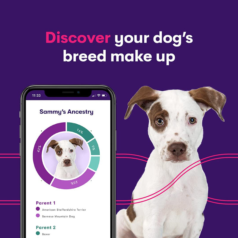 Orivet Genopet Dog DNA Test | Dog Breed Test Kit, Genetic Testing, Heritable Health Risks and Life Plan - PawsPlanet Australia