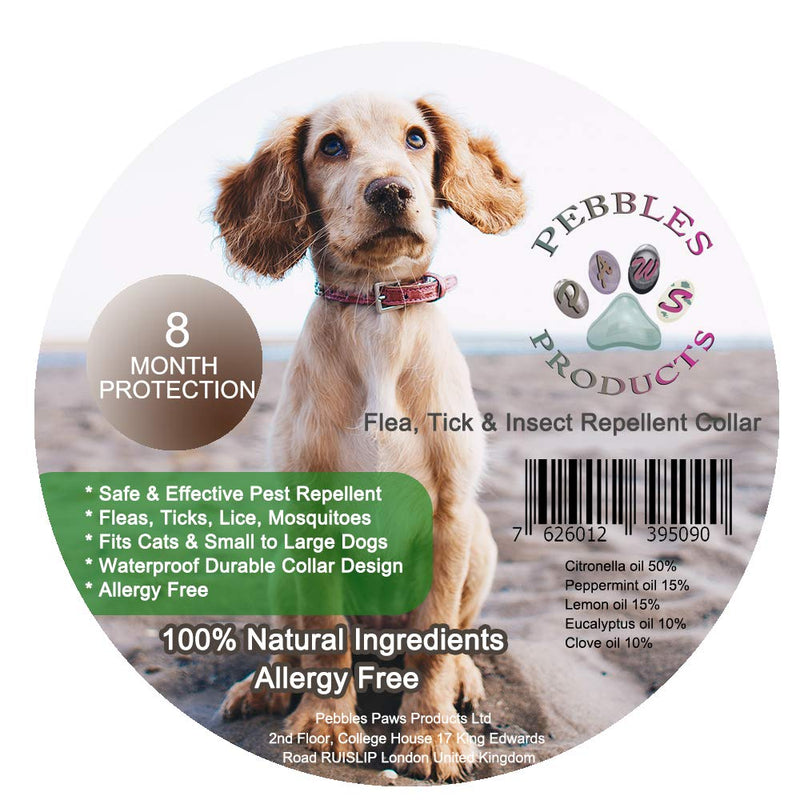 Dog Flea Collar for Flea and Tick Treatment and Prevention for Dogs 8 Month Essential Oil Flea Collar Protection Safe and Allergy Free - PawsPlanet Australia