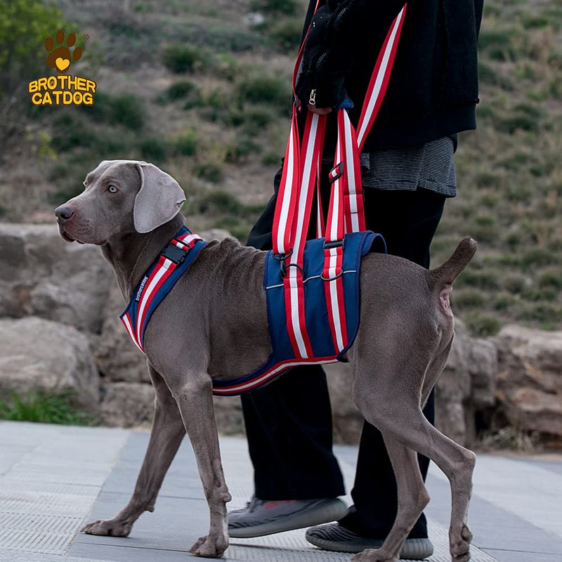 XTrador dog harness carrying aid for dogs especially for hip problems carrying strap for injured, older or musculoskeletal limited dogs rehabilitation safety walking aid (S) S - PawsPlanet Australia