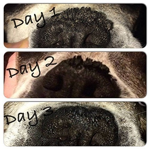 [Australia] - Snout Magic 2X All Organic and Natural Nose Butter Balm That Repairs and Heals Your Dog Snout With Shea Butter, Coconut Oil, Olive Oil To Moisturize and Protect Damaged Rough Cracked Dry Nose 4 Ounce 