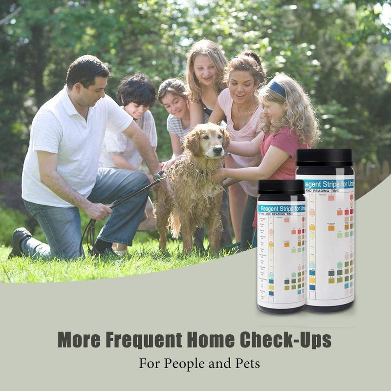 Urine Test Strips 10 Parameters 100 Count for Humans and Pets - PawsPlanet Australia