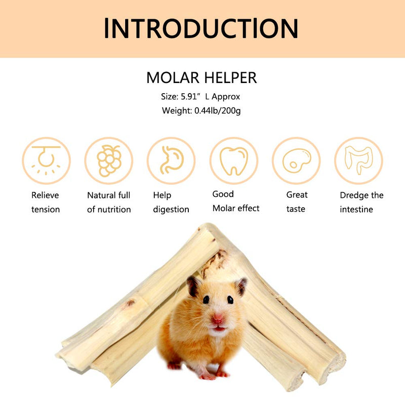 Guinea Pig Toy Bunny Toy Chinchilla Hamster Chew Toy, Organic Natural Apple Wood Dumbells Exercise Bell Roller Ideal for Gerbil，Hamster,Rabbit,Rmall Animal ChewTeeth Grinding(10Pcs) - PawsPlanet Australia