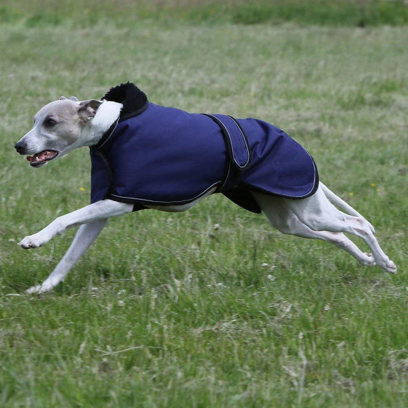 [Australia] - Pethiy Waterproof Dog Jacket, Dog Winter Coat with Warm Fleece Lining, Outdoor Dog Apparel with Adjustable Bands for Medium, Large Dog C400 Large(Back Length: 24in) Navy 