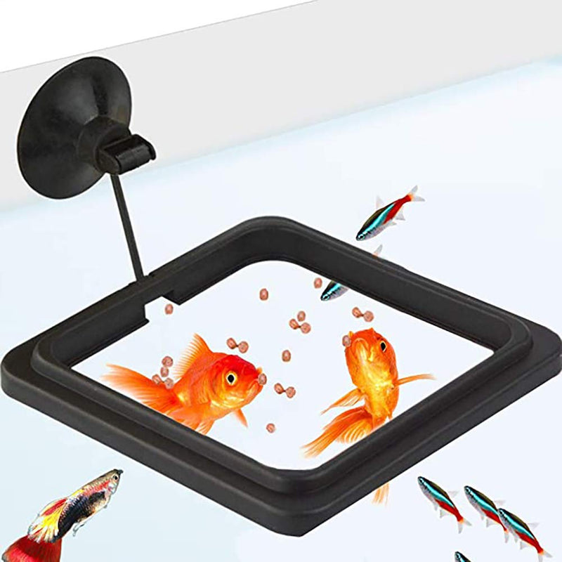 NEWCOMDIGI Fish Feeding Ring, Fish Safe Floating Food Feeder Circle Black, with Suction Cup Easy to Install Aquarium, Square and Round Shape 2 Pcs Feeder Station for Guppy, Betta, Goldfish - PawsPlanet Australia