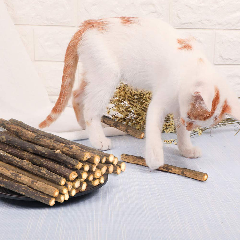 Yeteng 24 PCS Natural Cats Silvervine Sticks, Catnip Sticks Matatabi Teeth Molar Chew Toy for Cat Kitten Kitty Brown - PawsPlanet Australia