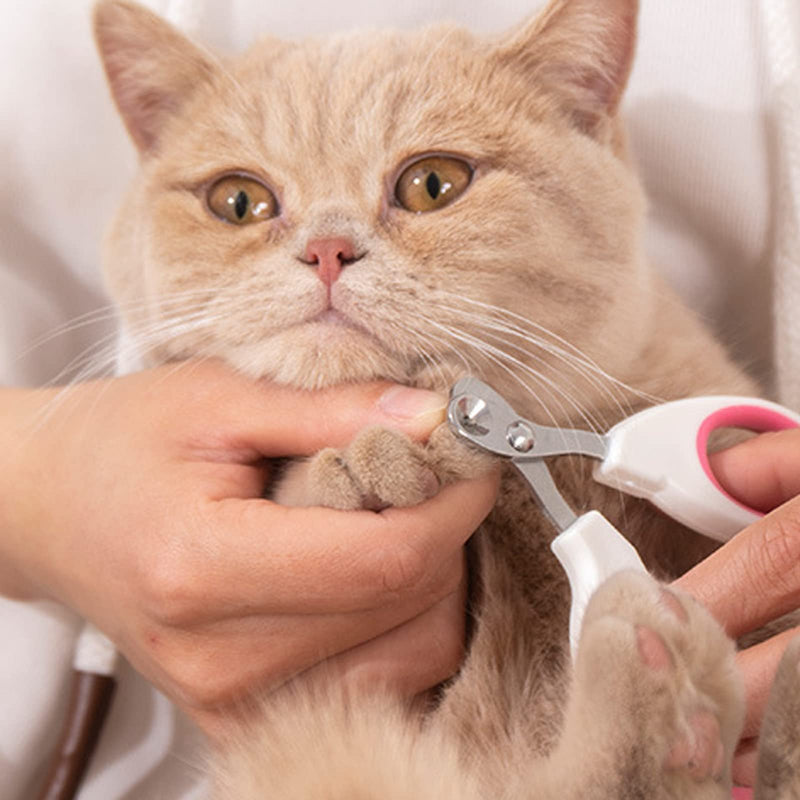 BSITSSS Cat Claw Scissors, Professional Cat Nail Scissors Claw Scissors for Dogs, Small Cats Claw Cutter, Cat Accessories Cat Nail Clipper Ideal for Small Dogs Puppies Cats With File (Pink) Pink - PawsPlanet Australia