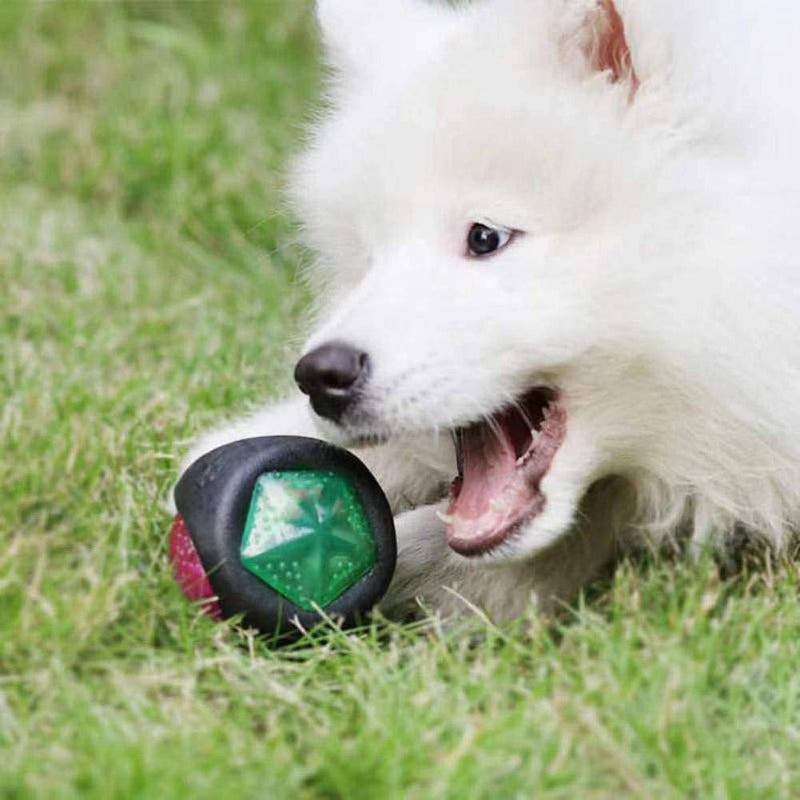 T03/4/5 Glow Squeaker Dog Ball，Bite-Resistant Molar Training Elastic Ball Light (Circle) CIRCLE - PawsPlanet Australia