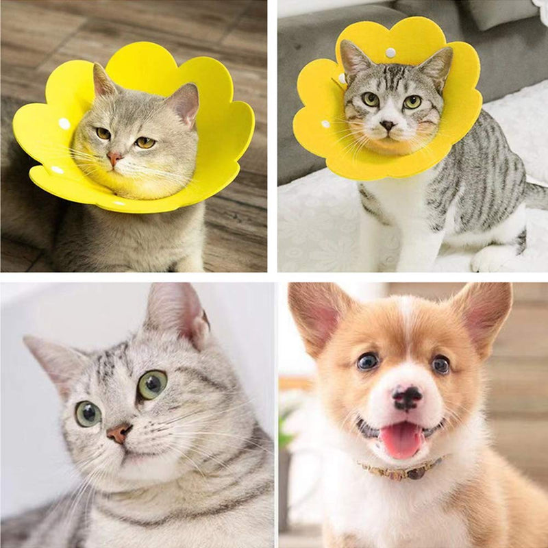 N\A 2 Pieces Pet Cone Collar Pet Recovery Protective Collar After Surgery Neck Collar for Recovery from Surgery Wound or Sterilization Dogs and Cats - PawsPlanet Australia