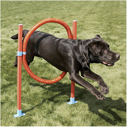 Rosewood Dog Agility Tunnel - PawsPlanet Australia