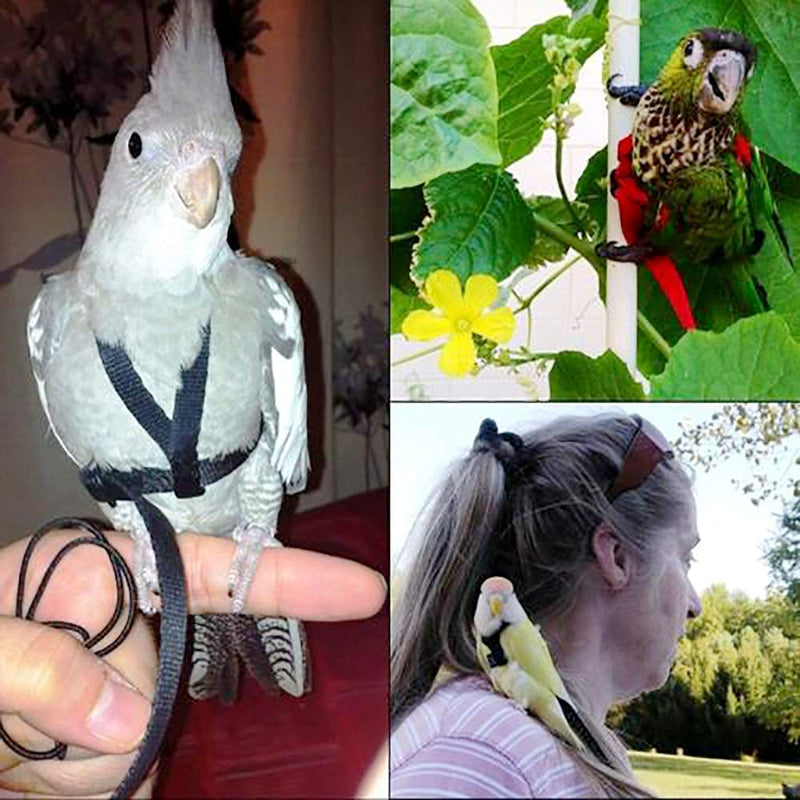 [Australia] - Bird Harness - Bird Leash for Conures- Adjustable Parrot Leash, Bird Nylon Rope, Anti Bite, Suitable for All Kinds of Parrots, Dove（M） 