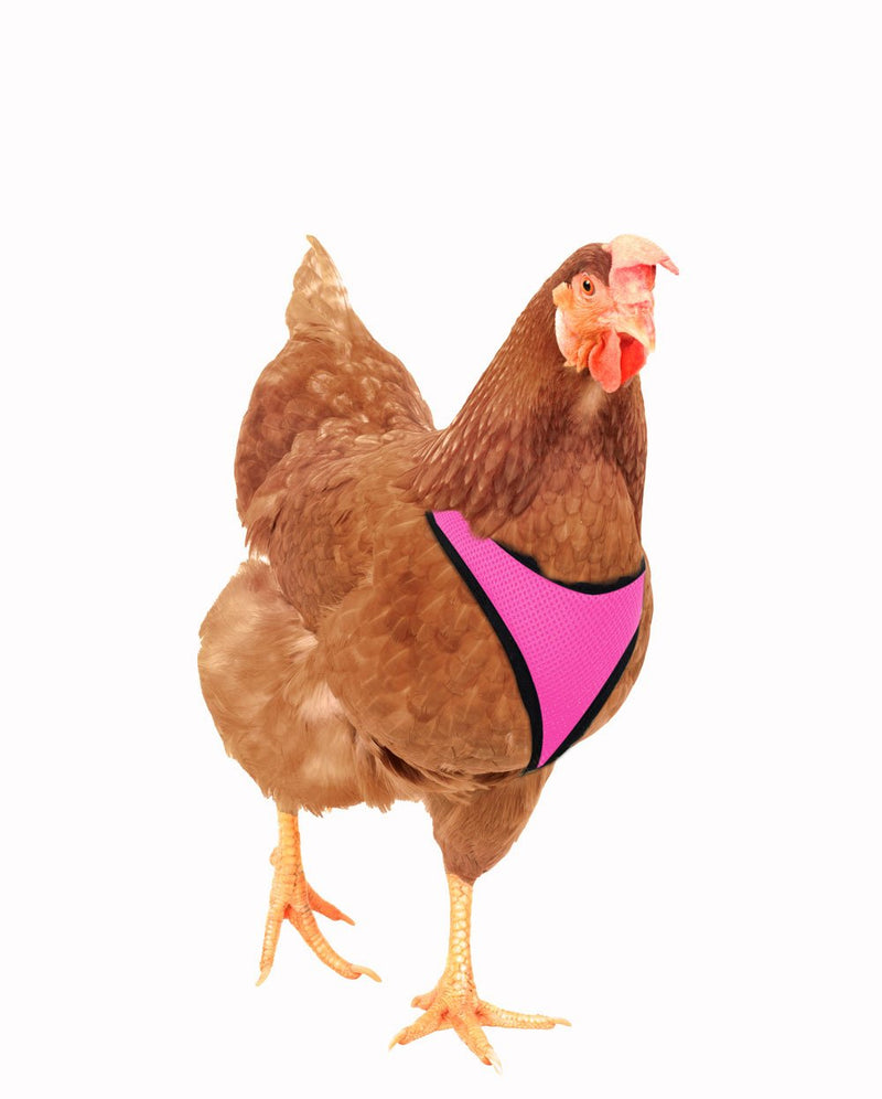 [Australia] - Hamilton Adjustable Rooster Soft Mesh Chicken Harness, Pink, 5/8" x 14"/20"/Medium 