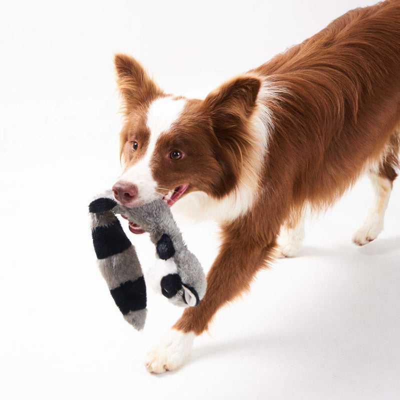JOYELF Squeaky Dog Toy Stuffingless Plush Dog Chew Toy for Puppy Dogs, Interactive Non Toxic Chase Fetch Dog Toys with Squeakers, 2 Pack Animals - Fox and Raccoon Fox&Raccoon - PawsPlanet Australia
