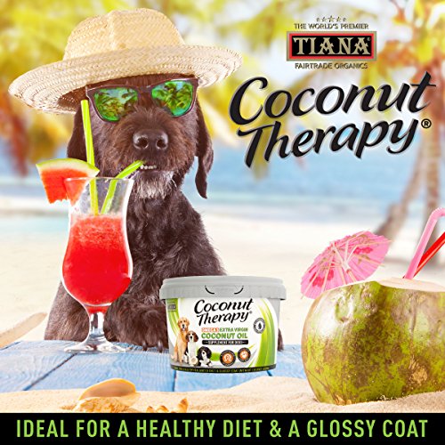 TIANA® Fair Trade Organics Coconut Oil Omega 3 Supplement For Dogs 500ml (Pack of 2) Pack of 2 - PawsPlanet Australia