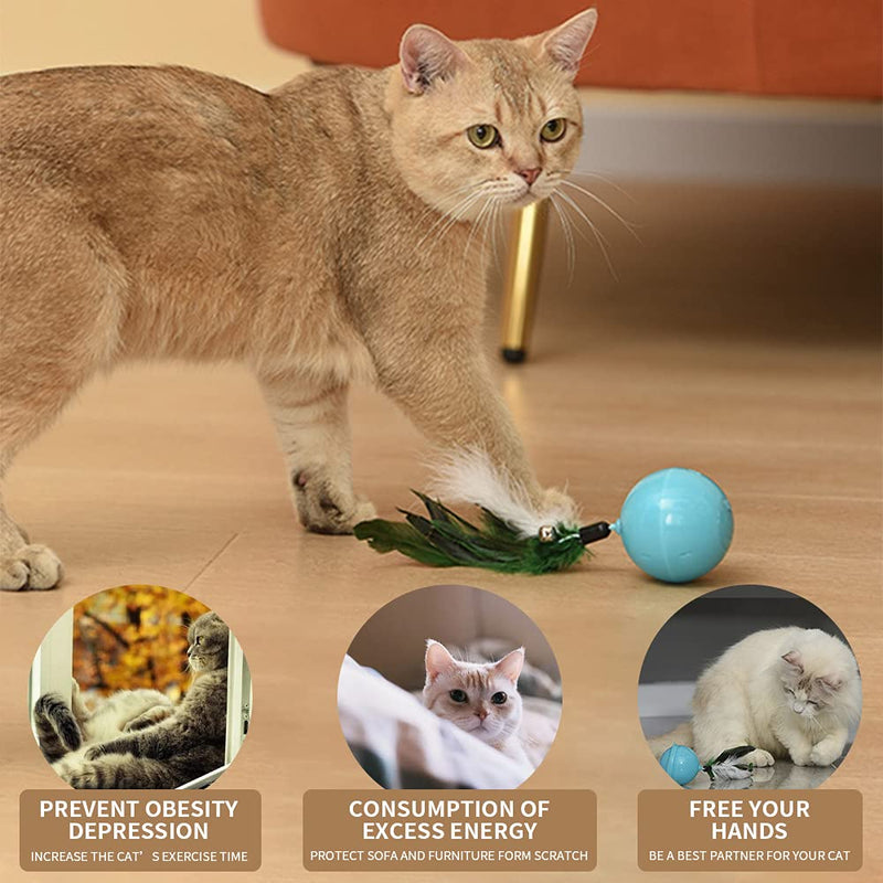 Interactive Cat Toys with 6 Modes and 3 Playing Methods, 360 Degree Automatic Rotating Cat Ball Toy with LED and Feather, USB Charging Automatic Cat Toy Blue - PawsPlanet Australia