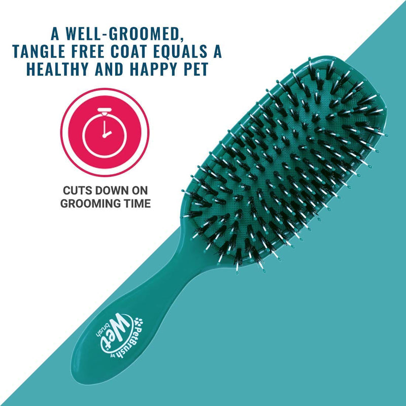 Wet Brush Pet Brush, Smooth and Shine Detangle Dog and Cat Grooming Brush Teal - PawsPlanet Australia