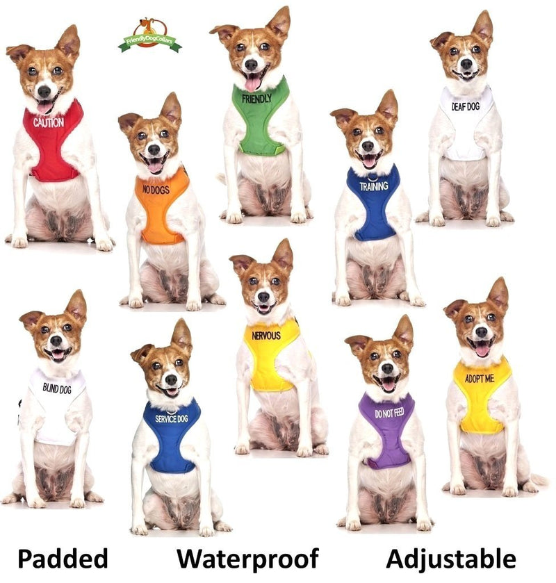 [Australia] - Dexil Limited Service Dog Blue Color Coded S-M L-XL Buckle Dog Collar (Do Not Disturb) Prevents Accidents by Warning Others of Your Dog in Advance L-XL Collar, 15-25"Lx1.25"W 