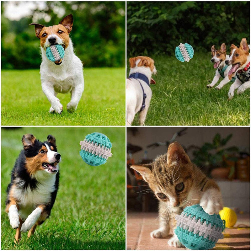 Delaspe Puppy Teeth Cleaning Ball Pet Rubber Toy Cat And Dog Non-Toxic Chewing Toy, Pet Toy Ball (blue) blue - PawsPlanet Australia