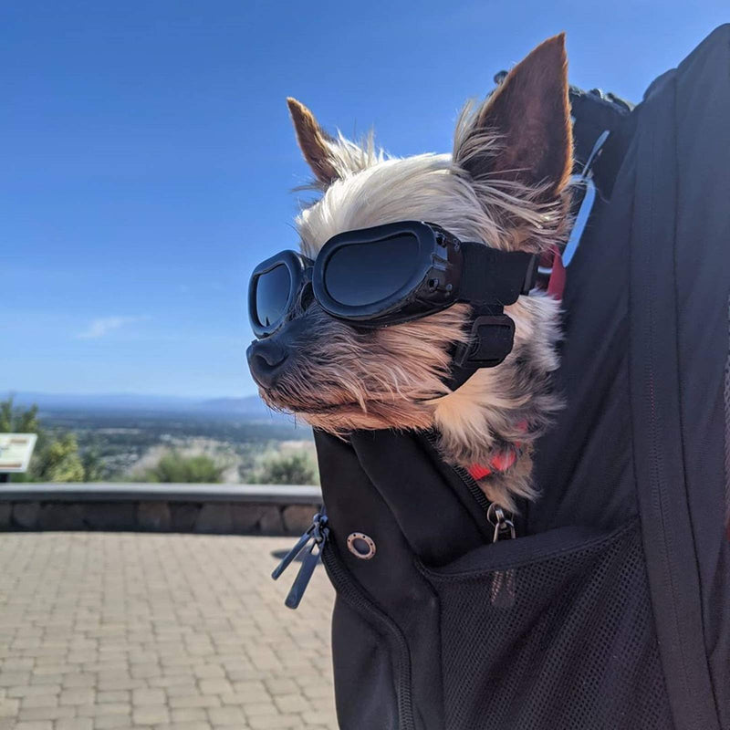 Enjoying Small Dog Goggles UV Protection Doggy Sunglasses Windproof Small Pet Glasses for Puppy Big Cat Eye Protective Black - PawsPlanet Australia