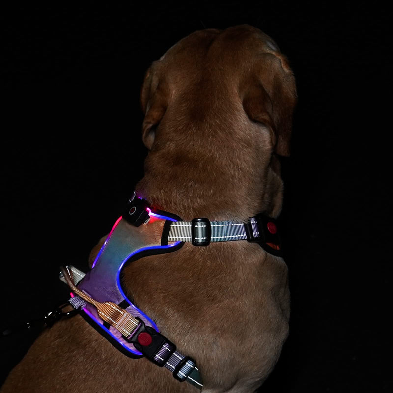 LED Light Up Dog Harness: Reflective Adjustable Vest with Rechargeable, No-Choke Pet Harness Easy Control Handle for Small Medium Large X-Large Size Dogs (Multi Colored,L) Multi colored L - PawsPlanet Australia