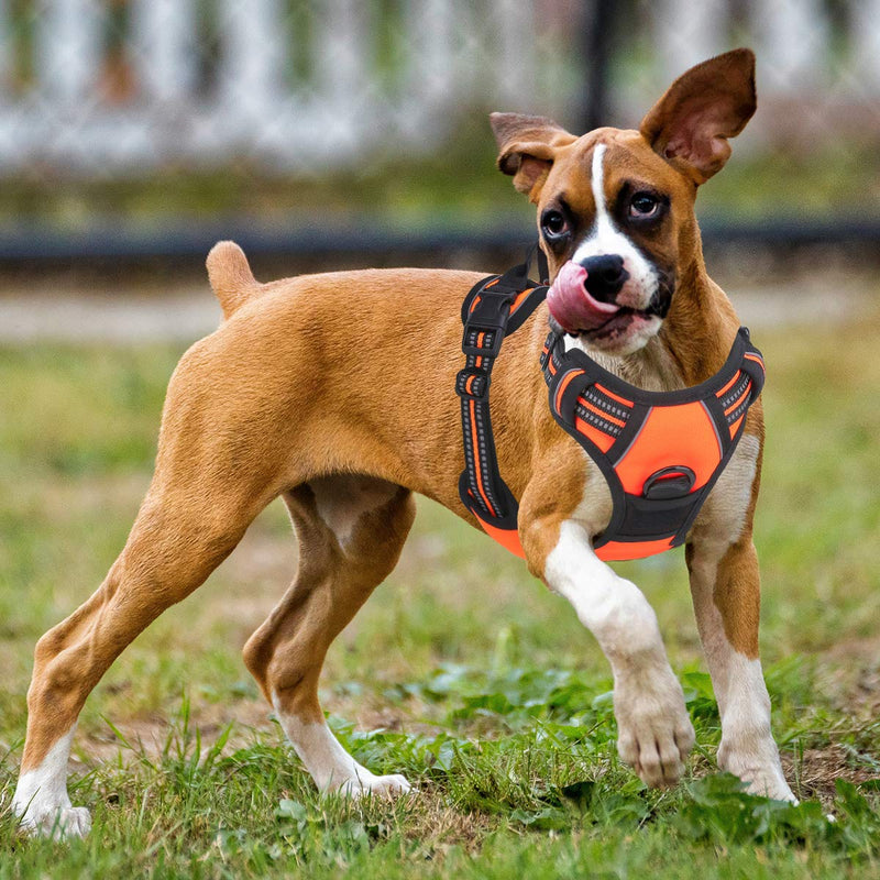 [Australia] - Vovodog Dog Harness No-Pull Pet Harness, Adjustable Outdoor Walking Pet Reflective Oxford Soft Vest with 2 Metal Rings and Handle Easy Control for Small Medium Large Dogs L (Neck: 14-22"|Chest: 26-29") Orange 