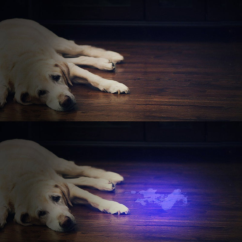 Vansky UV Torch, Black Light Pets Urine Detector 12Led UV Blacklight, UV Flashlight Find Dry Stains on Carpets/Rugs/Floor, 3 x AAA Batteries Included - PawsPlanet Australia