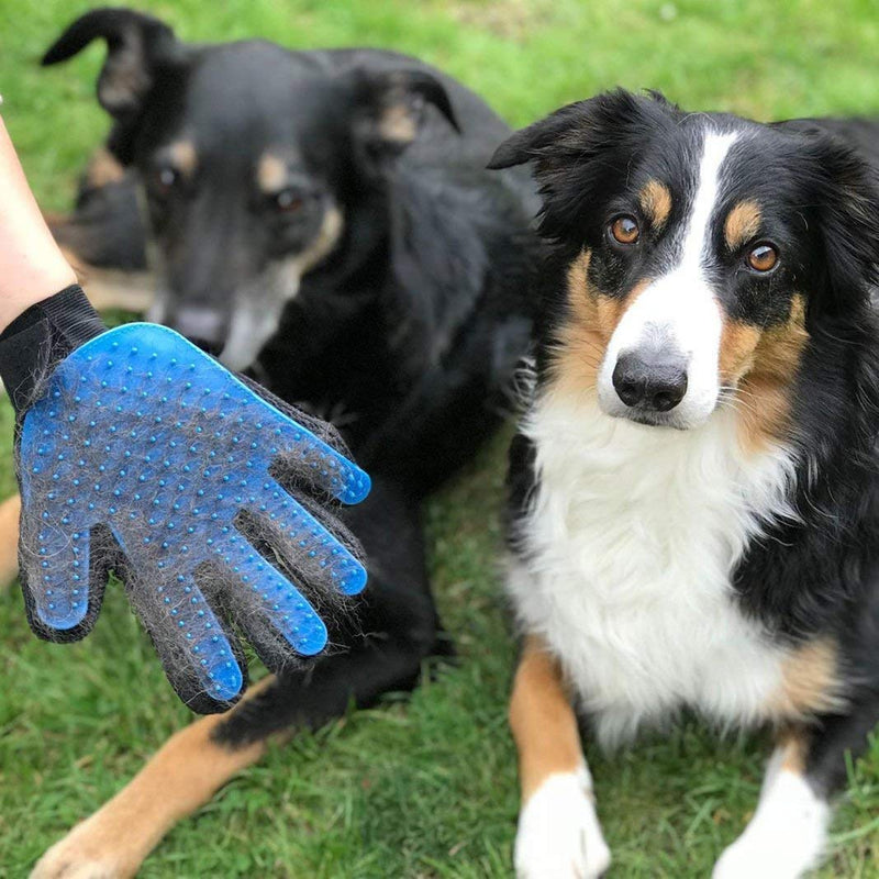 1 Pair Pet Brush Glove, Dioxide Pet Hair Glove, Pet Massage Hair Remover Grooming Glove Dog Cat - PawsPlanet Australia