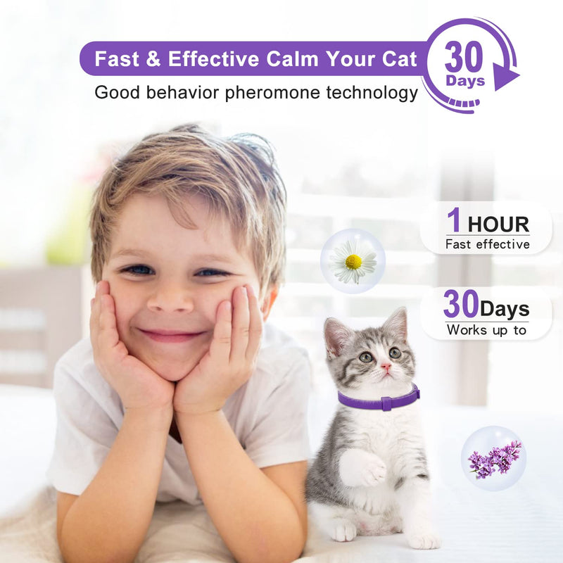 Anipaw Calming Collar for Cats 6 Pack Cat Calming Collar Relaxing Cat Pheromone Collar Adjustable Breakaway Design for Small Medium Large Cats Kitten Peeing Relieve Anxiety and Stress (Purple) Purple - PawsPlanet Australia