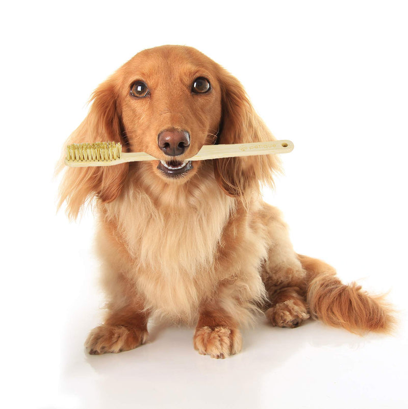 [Australia] - PETIQUE Eco Bamboo Toothbrush for Small Pets, Natural, One Size (TB01000003) 