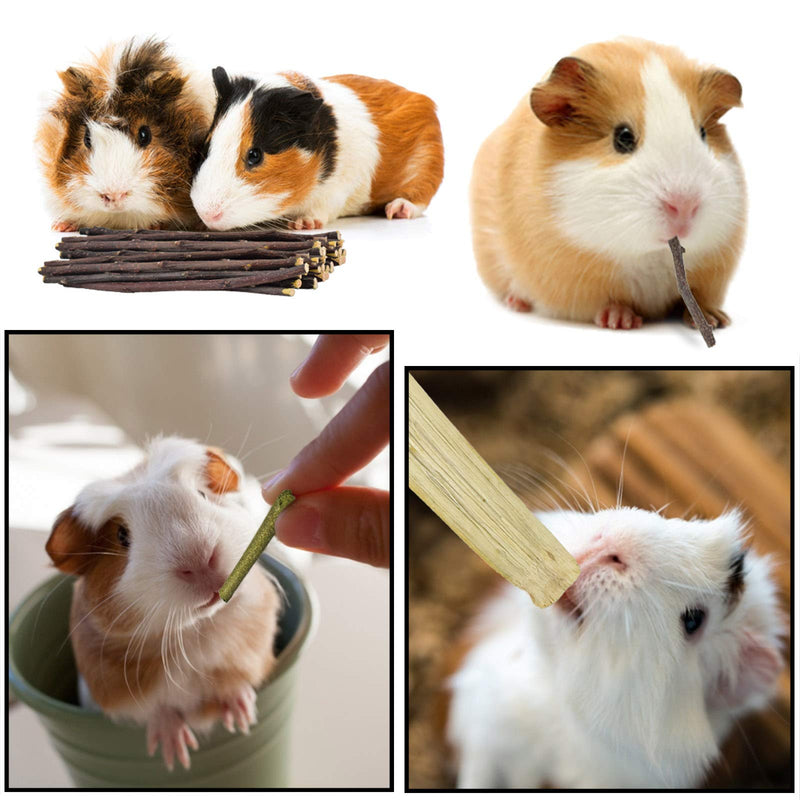ERKOON Rabbit Accessories, 8 Types of Rabbit Chew Toys, Rabbits Employment Small Animals Natural Timothy Hay Sticks Apple Sticks Dental Care Treats Chinchilla Guinea Pigs Gerbils - PawsPlanet Australia