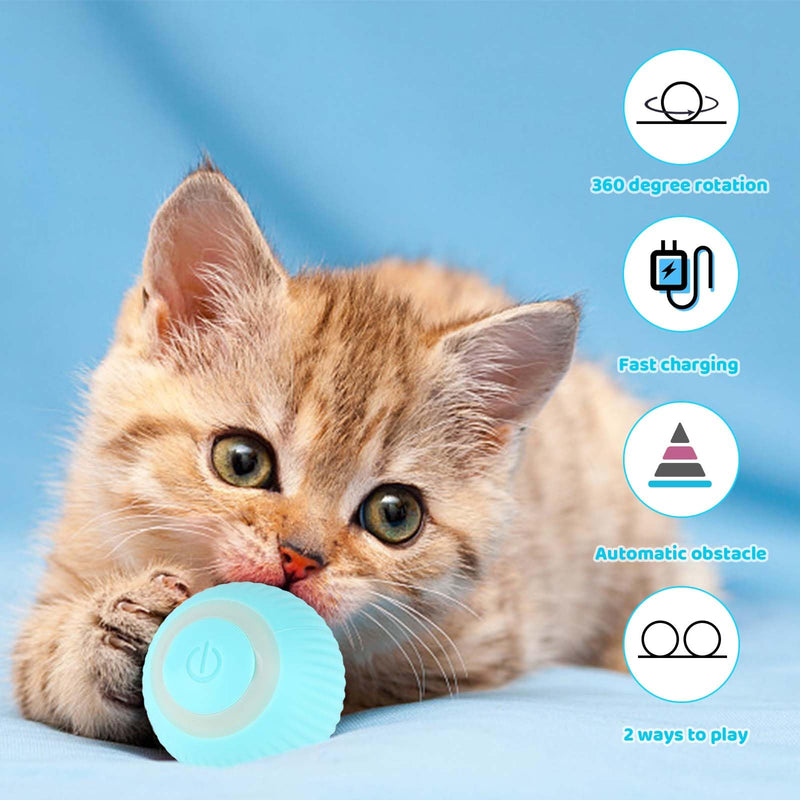 Mkitnvy Interactive Cat Toy Ball, Cat Ball with LED Light, 360° Self-Rotating Electronic Cat Ball, Stimulating Hunting Drive, Funny Balls Toy for Cats, Blue - PawsPlanet Australia