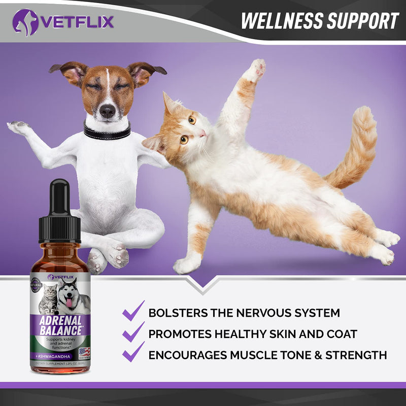 Vetflix Natural Pet Supplement for Dogs and Cats - Immune System Support and Overall Wellbeing - 2 fl oz Cushings Treatment - PawsPlanet Australia