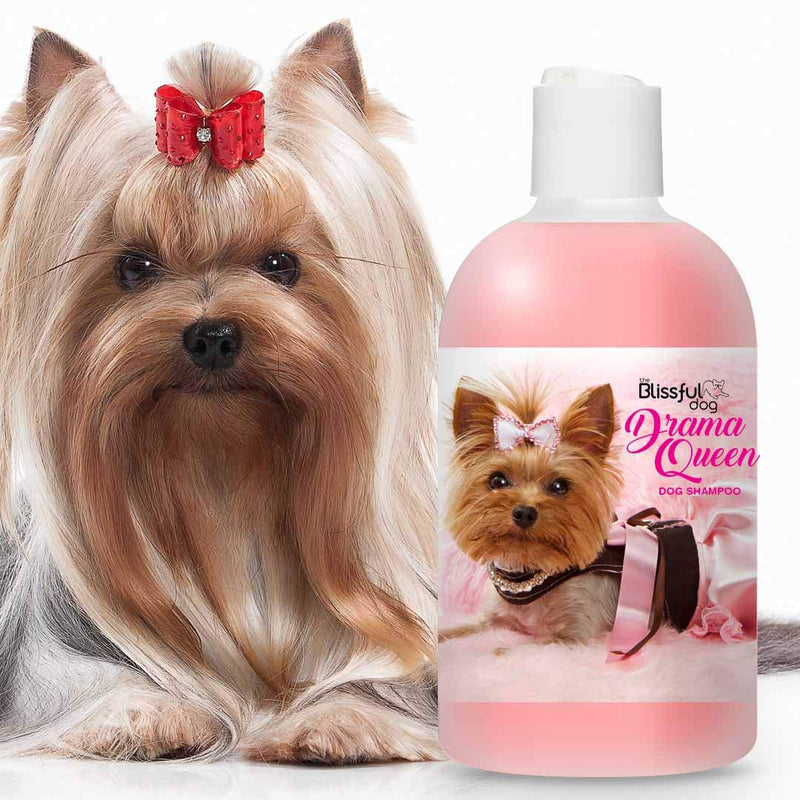 [Australia] - The Blissful Dog Drama Queen Dog Shampoo 8-Ounce Yorkshire Terrier 