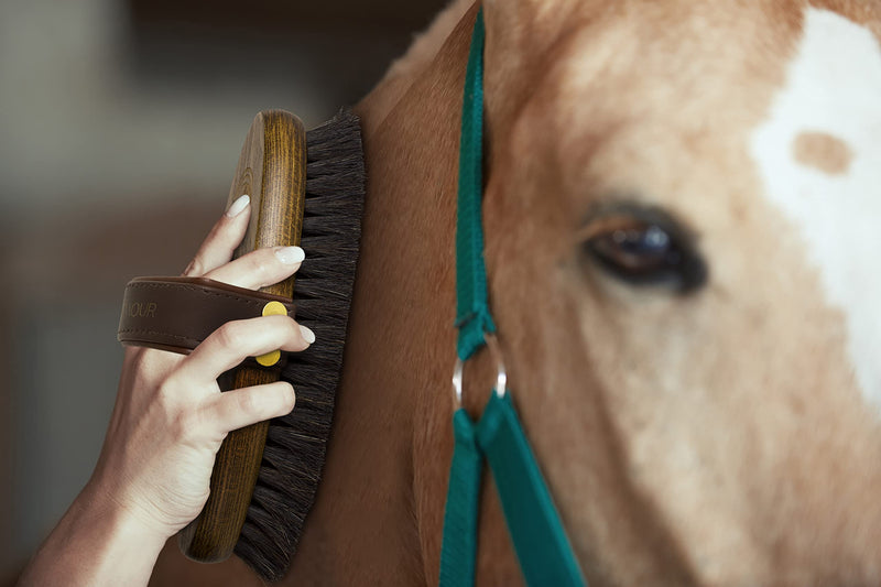 Equimour horsehair brush brush "TORI" | Horse brush | Wooden brush | Grooming | Horse Accessories | Grooming supplies for horses - PawsPlanet Australia